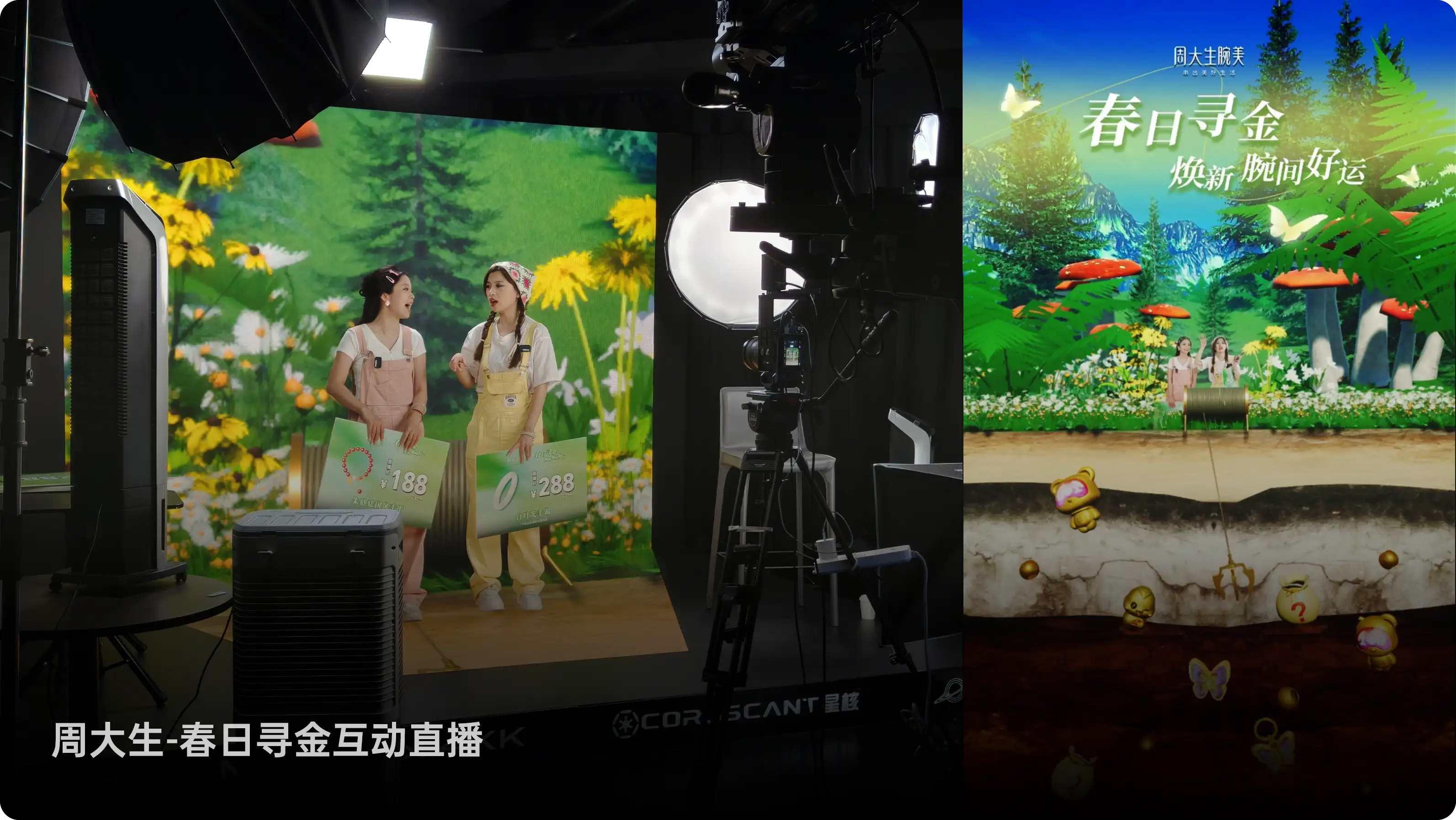 珠宝品牌
